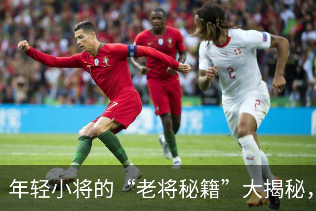 年轻小将的“老将秘籍”大揭秘，实战经验超给力！