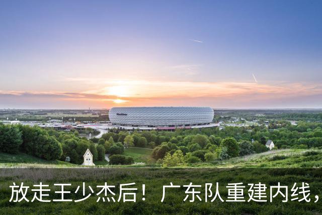 放走王少杰后！广东队重建内线，拒绝追求胡金秋，NBL新中锋到位